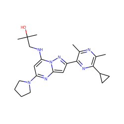 Cc1nc(C)c(C2CC2)nc1-c1cc2nc(N3CCCC3)cc(NCC(C)(C)O)n2n1 ZINC000072316496