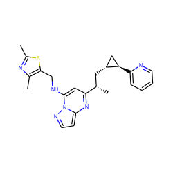 Cc1nc(C)c(CNc2cc([C@@H](C)C[C@@H]3C[C@H]3c3ccccn3)nc3ccnn23)s1 ZINC000114812888