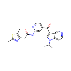 Cc1nc(CC(=O)Nc2cc(C(=O)c3cn(C(C)C)c4ccncc34)ccn2)c(C)s1 ZINC001772625711