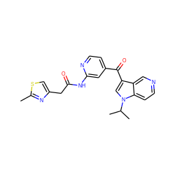 Cc1nc(CC(=O)Nc2cc(C(=O)c3cn(C(C)C)c4ccncc34)ccn2)cs1 ZINC001772575948