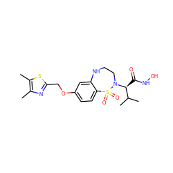 Cc1nc(COc2ccc3c(c2)NCCN([C@@H](C(=O)NO)C(C)C)S3(=O)=O)sc1C ZINC000013518165