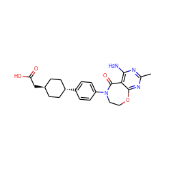 Cc1nc(N)c2c(n1)OCCN(c1ccc([C@H]3CC[C@H](CC(=O)O)CC3)cc1)C2=O ZINC000261077168