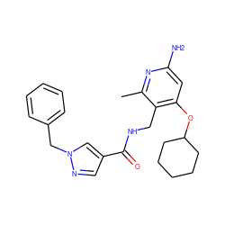 Cc1nc(N)cc(OC2CCCCC2)c1CNC(=O)c1cnn(Cc2ccccc2)c1 ZINC000114078772