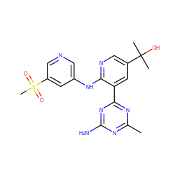 Cc1nc(N)nc(-c2cc(C(C)(C)O)cnc2Nc2cncc(S(C)(=O)=O)c2)n1 ZINC000113242364