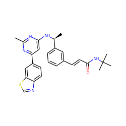 Cc1nc(N[C@@H](C)c2cccc(/C=C/C(=O)NC(C)(C)C)c2)cc(-c2ccc3ncsc3c2)n1 ZINC000653679751