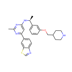 Cc1nc(N[C@@H](C)c2cccc(OCC3CCNCC3)c2)cc(-c2ccc3ncsc3c2)n1 ZINC000653755621