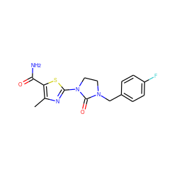 Cc1nc(N2CCN(Cc3ccc(F)cc3)C2=O)sc1C(N)=O ZINC000103233532