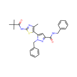 Cc1nc(NC(=O)C(C)(C)C)sc1-c1cc(C(=O)NCc2ccccc2)nn1Cc1ccccc1 ZINC000049784370