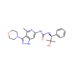 Cc1nc(NC(=O)N[C@@H](c2ccccc2)C(C)(C)O)cc2[nH]nc(N3CCOCC3)c12 ZINC000210820881