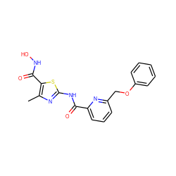 Cc1nc(NC(=O)c2cccc(COc3ccccc3)n2)sc1C(=O)NO ZINC000028459401