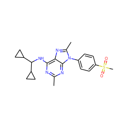 Cc1nc(NC(C2CC2)C2CC2)c2nc(C)n(-c3ccc(S(C)(=O)=O)cc3)c2n1 ZINC000072123444