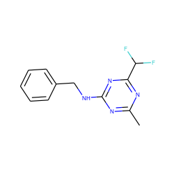 Cc1nc(NCc2ccccc2)nc(C(F)F)n1 ZINC000103296890