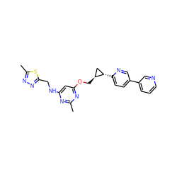 Cc1nc(NCc2nnc(C)s2)cc(OC[C@H]2C[C@@H]2c2ccc(-c3cccnc3)cn2)n1 ZINC000219359346