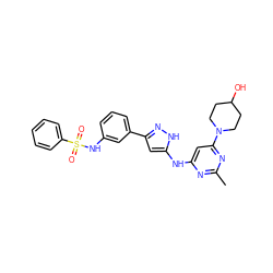 Cc1nc(Nc2cc(-c3cccc(NS(=O)(=O)c4ccccc4)c3)n[nH]2)cc(N2CCC(O)CC2)n1 ZINC000072176060