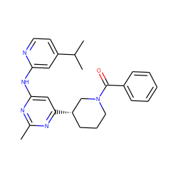 Cc1nc(Nc2cc(C(C)C)ccn2)cc([C@H]2CCCN(C(=O)c3ccccc3)C2)n1 ZINC000299868509