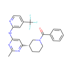 Cc1nc(Nc2cc(C(F)(F)F)ccn2)cc([C@H]2CCCN(C(=O)c3ccccc3)C2)n1 ZINC000299859207