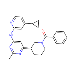 Cc1nc(Nc2cc(C3CC3)ccn2)cc([C@H]2CCCN(C(=O)c3ccccc3)C2)n1 ZINC000299860425