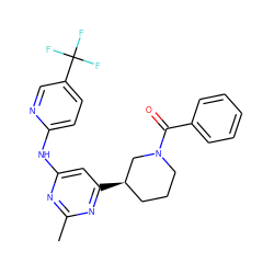 Cc1nc(Nc2ccc(C(F)(F)F)cn2)cc([C@@H]2CCCN(C(=O)c3ccccc3)C2)n1 ZINC000221708019