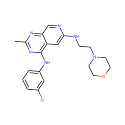 Cc1nc(Nc2cccc(Br)c2)c2cc(NCCN3CCOCC3)ncc2n1 ZINC000021289366