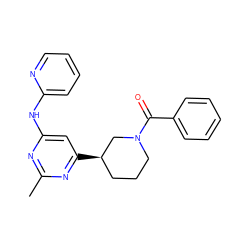 Cc1nc(Nc2ccccn2)cc([C@@H]2CCCN(C(=O)c3ccccc3)C2)n1 ZINC000221705838