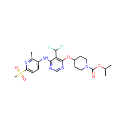 Cc1nc(S(C)(=O)=O)ccc1Nc1ncnc(OC2CCN(C(=O)OC(C)C)CC2)c1C(F)F ZINC000073200589