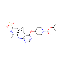 Cc1nc(S(C)(=O)=O)ccc1Nc1ncnc(OC2CCN(C(=O)OC(C)C)CC2)c1C1CC1 ZINC000073200586