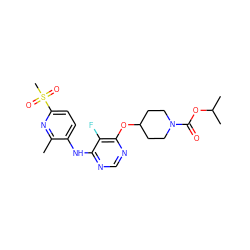 Cc1nc(S(C)(=O)=O)ccc1Nc1ncnc(OC2CCN(C(=O)OC(C)C)CC2)c1F ZINC000299834065