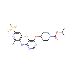 Cc1nc(S(C)(=O)=O)ccc1Nc1ncnc(OC2CCN(C(=O)OC(C)C)CC2)c1O ZINC000038255422