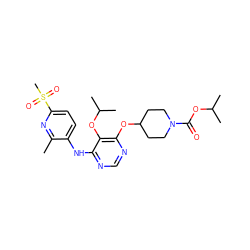 Cc1nc(S(C)(=O)=O)ccc1Nc1ncnc(OC2CCN(C(=O)OC(C)C)CC2)c1OC(C)C ZINC000038228612