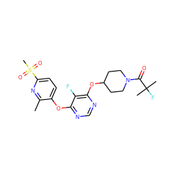 Cc1nc(S(C)(=O)=O)ccc1Oc1ncnc(OC2CCN(C(=O)C(C)(C)F)CC2)c1F ZINC000299828195