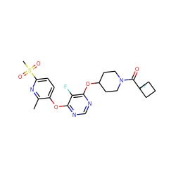 Cc1nc(S(C)(=O)=O)ccc1Oc1ncnc(OC2CCN(C(=O)C3(F)CCC3)CC2)c1F ZINC000299834605