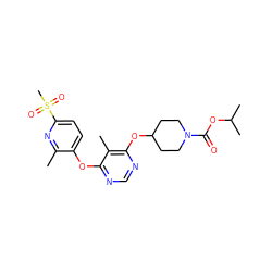 Cc1nc(S(C)(=O)=O)ccc1Oc1ncnc(OC2CCN(C(=O)OC(C)C)CC2)c1C ZINC000073281027