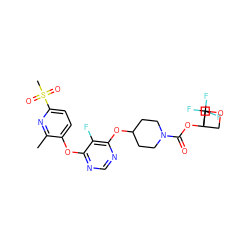 Cc1nc(S(C)(=O)=O)ccc1Oc1ncnc(OC2CCN(C(=O)OC3(C(F)(F)F)COC3)CC2)c1F ZINC000299832004