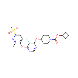 Cc1nc(S(C)(=O)=O)ccc1Oc1ncnc(OC2CCN(C(=O)OC3CCC3)CC2)c1F ZINC000299835489