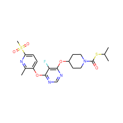 Cc1nc(S(C)(=O)=O)ccc1Oc1ncnc(OC2CCN(C(=O)SC(C)C)CC2)c1F ZINC000299826491