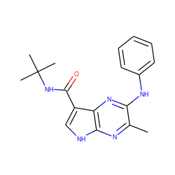 Cc1nc2[nH]cc(C(=O)NC(C)(C)C)c2nc1Nc1ccccc1 ZINC001772570460