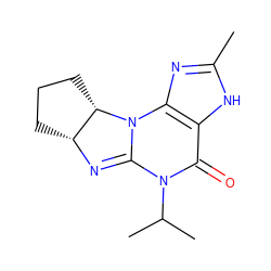 Cc1nc2c([nH]1)C(=O)N(C(C)C)C1=N[C@@H]3CCC[C@@H]3N12 ZINC000013763749