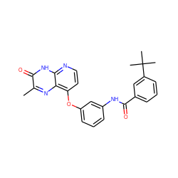 Cc1nc2c(Oc3cccc(NC(=O)c4cccc(C(C)(C)C)c4)c3)ccnc2[nH]c1=O ZINC000058541142