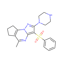 Cc1nc2c(S(=O)(=O)c3ccccc3)c(N3CCNCC3)nn2c2c1CCC2 ZINC000049047887