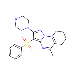 Cc1nc2c(S(=O)(=O)c3ccccc3)c(N3CCNCC3)nn2c2c1CCCC2 ZINC000049089675