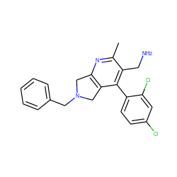 Cc1nc2c(c(-c3ccc(Cl)cc3Cl)c1CN)CN(Cc1ccccc1)C2 ZINC000034804218