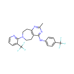 Cc1nc2c(c(Nc3ccc(C(F)(F)F)cc3)n1)CCN(c1ncccc1C(F)(F)F)CC2 ZINC000064572970