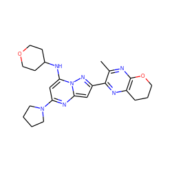 Cc1nc2c(nc1-c1cc3nc(N4CCCC4)cc(NC4CCOCC4)n3n1)CCCO2 ZINC000199082135