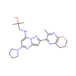 Cc1nc2c(nc1-c1cc3nc(N4CCCC4)cc(NCC(C)(C)O)n3n1)CCCO2 ZINC000118904798