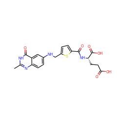 Cc1nc2ccc(NCc3ccc(C(=O)N[C@@H](CCC(=O)O)C(=O)O)s3)cc2c(=O)[nH]1 ZINC000013822811