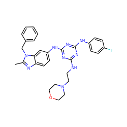 Cc1nc2ccc(Nc3nc(NCCN4CCOCC4)nc(Nc4ccc(F)cc4)n3)cc2n1Cc1ccccc1 ZINC000653803563