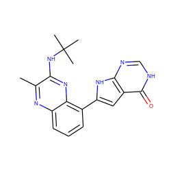 Cc1nc2cccc(-c3cc4c(=O)[nH]cnc4[nH]3)c2nc1NC(C)(C)C ZINC000222239483