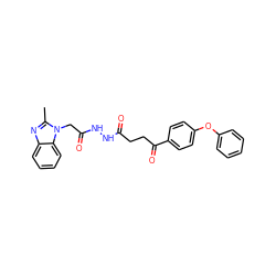 Cc1nc2ccccc2n1CC(=O)NNC(=O)CCC(=O)c1ccc(Oc2ccccc2)cc1 ZINC000653834513