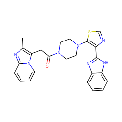 Cc1nc2ccccn2c1CC(=O)N1CCN(c2scnc2-c2nc3ccccc3[nH]2)CC1 ZINC000143646642