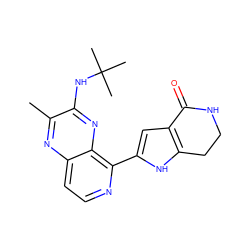 Cc1nc2ccnc(-c3cc4c([nH]3)CCNC4=O)c2nc1NC(C)(C)C ZINC000222341270